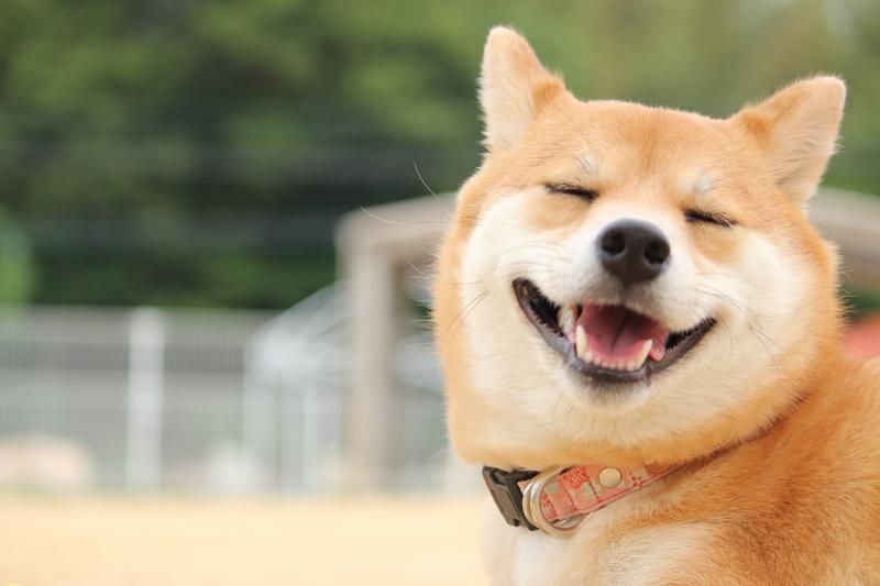 山梨
